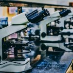 Cannabinoids and Autoimmune Disease: What a New Literature Review Says About the Immune Mechanism Gap | cannabinoids autoimmune disease evidence