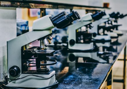 Cannabinoids and Autoimmune Disease: What a New Literature Review Says About the Immune Mechanism Gap | cannabinoids autoimmune disease evidence