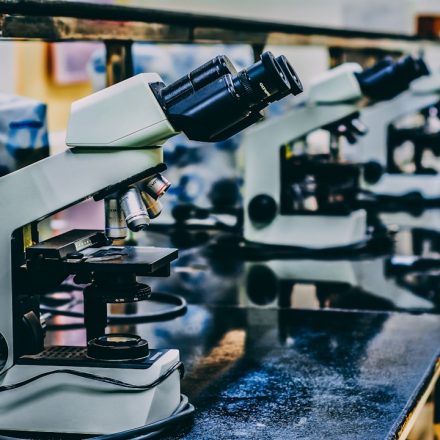 Cannabinoids and Autoimmune Disease: What a New Literature Review Says About the Immune Mechanism Gap | cannabinoids autoimmune disease evidence