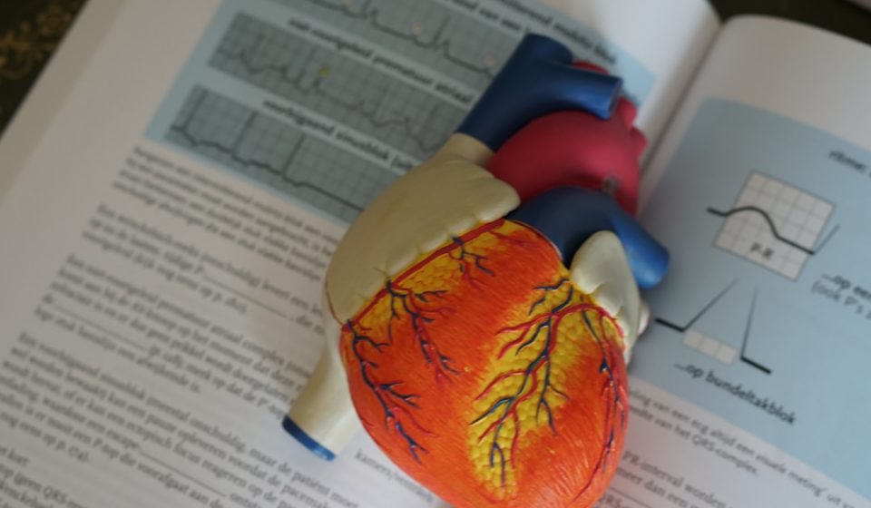 Cannabis and Coronary Thrombosis Case Report | cannabis coronary thrombosis case report