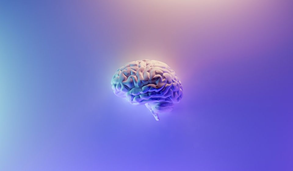 Endocannabinoid System and Bruxism: A New Neurobiological Model | endocannabinoid system bruxism